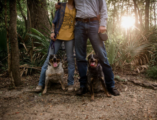 Jessica + Sterling {Palmetto State Park Engagements, West Texas Wedding, Dogs in Engagement Photos}