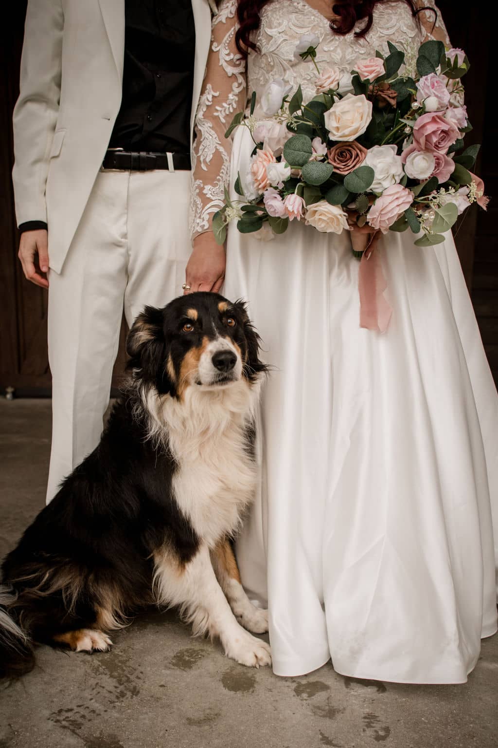 in learning how to plan a wedding in bryan college station, the brides found a venue that is dog friendly. both brides are cropped posed with their dog in front of them